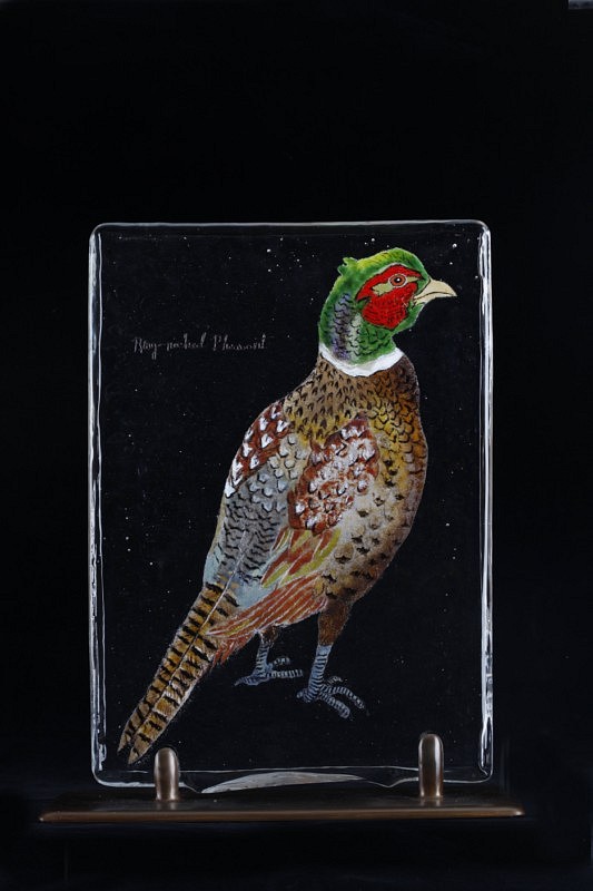 Mace Kirkpatrick, Bird Page: Ring-Necked Pheasant
2009, Glass